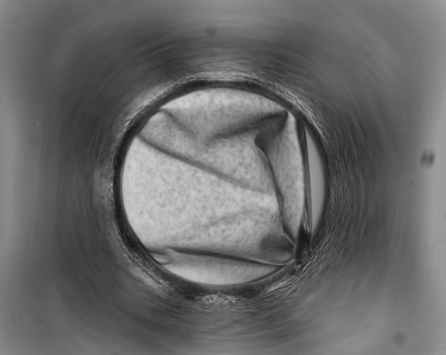 X0000098200535200805151231
