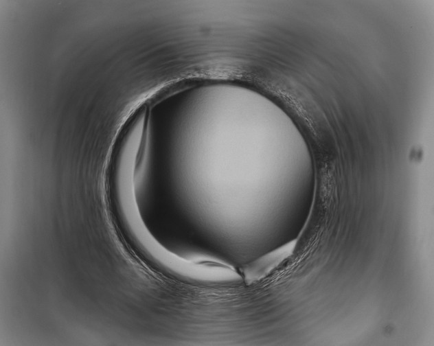 X0000098200536200805151231