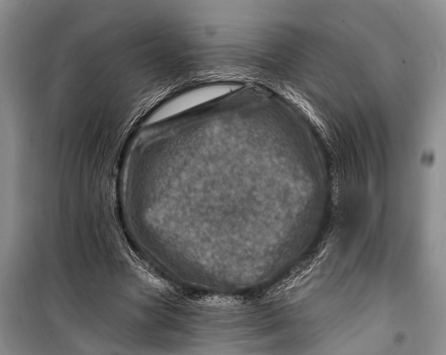 X0000098200537200805151231