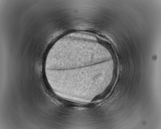 X0000098200539200805151231
