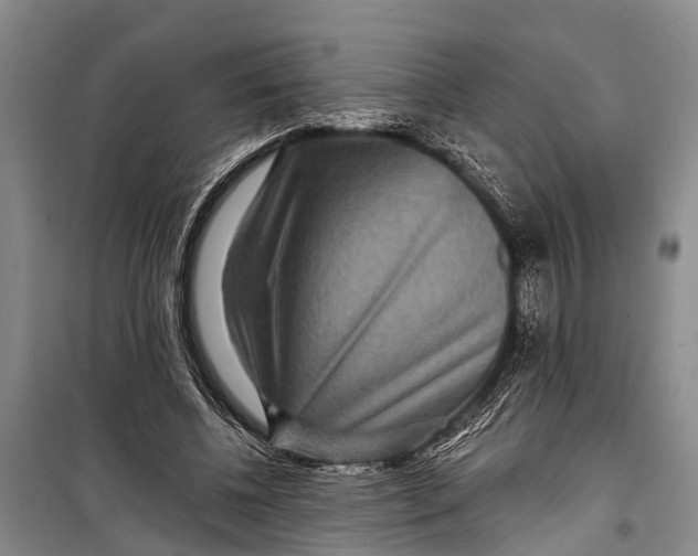 X0000098200540200805151231