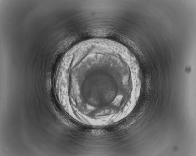 X0000098200541200805151231