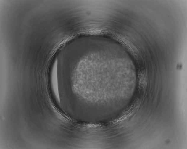 X0000098200542200805151231