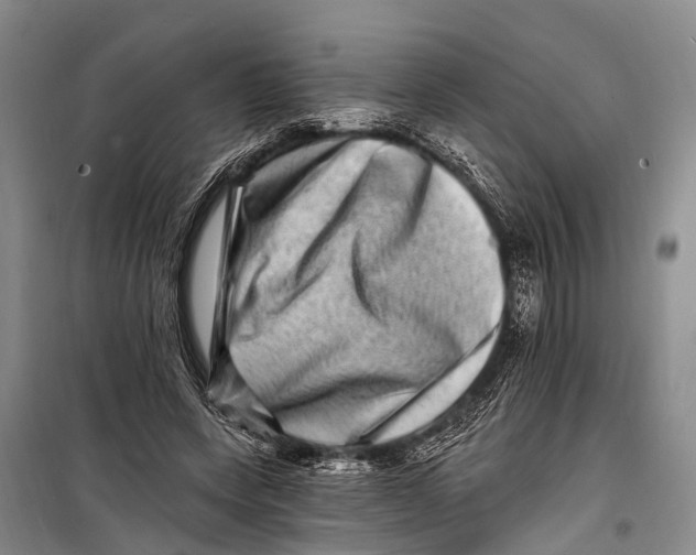X0000098200543200805151231