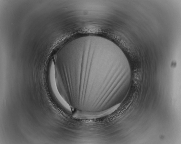 X0000098200544200805151231