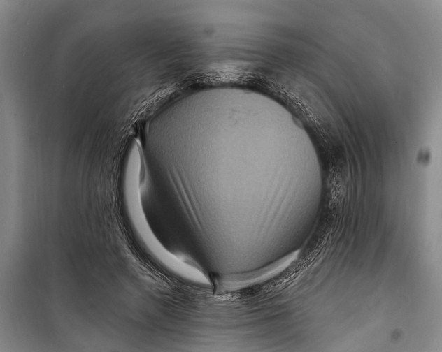 X0000098200546200805151231
