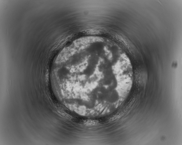 X0000098200549200805151231