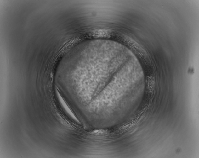 X0000098200550200805151231
