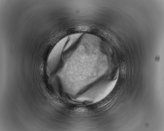 X0000098200551200805151231