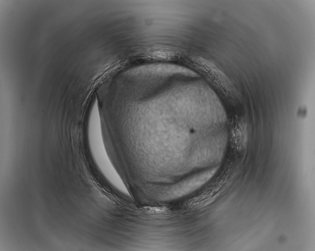 X0000098200552200805151231