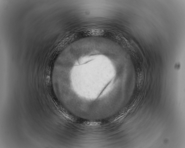 X0000098200553200805151231
