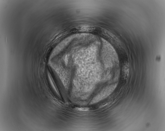 X0000098200554200805151231