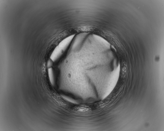 X0000098200555200805151231