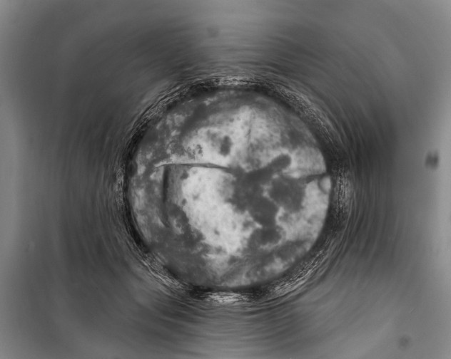 X0000098200557200805151231