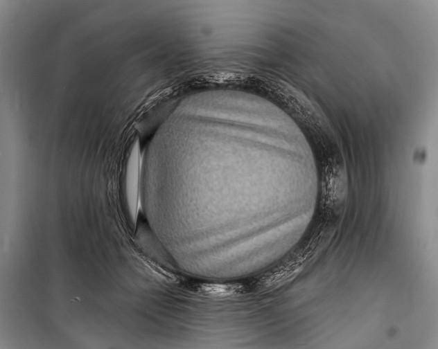 X0000098200558200805151231
