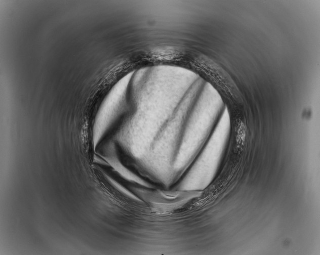 X0000098200559200805151231