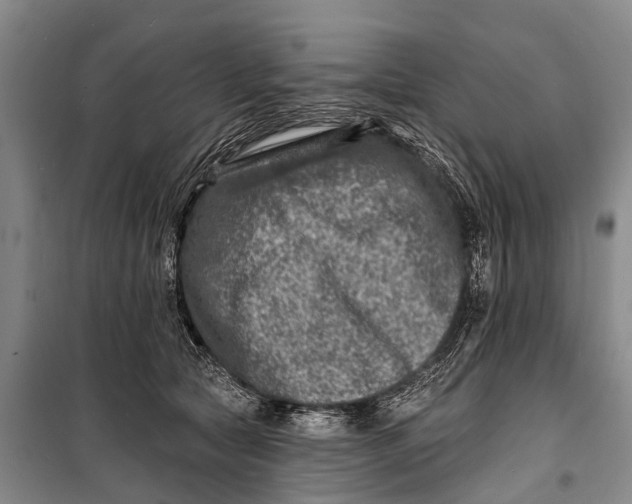 X0000098200561200805151231