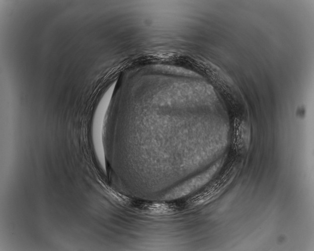 X0000098200562200805151231