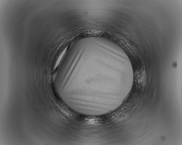 X0000098200564200805151231