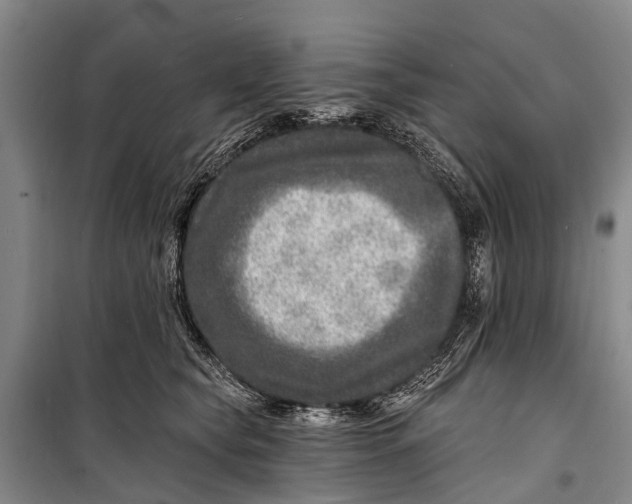 X0000098200565200805151231