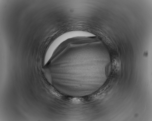 X0000098200566200805151231