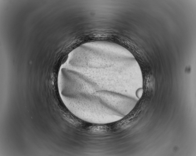 X0000098200567200805151231