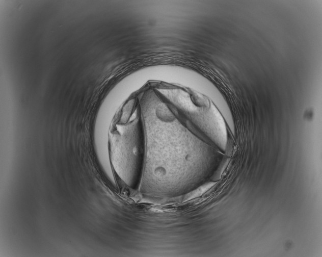 X0000098200568200805151231