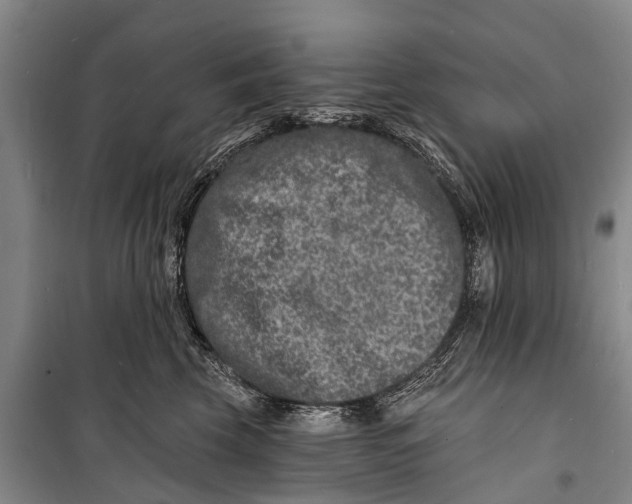 X0000098200569200805151231