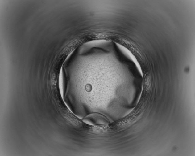 X0000098200571200805151231
