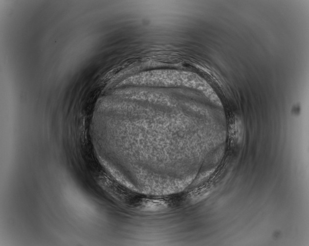X0000098200572200805151231