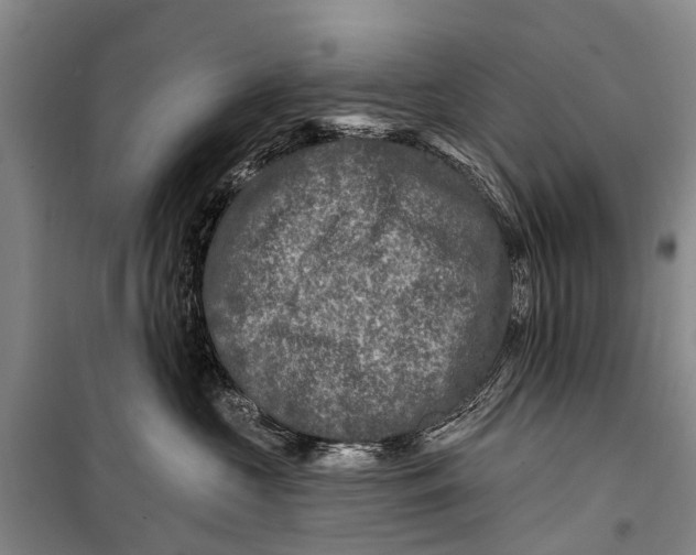 X0000098200573200805151231