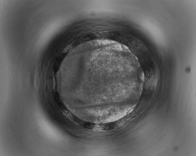 X0000098200574200805151231