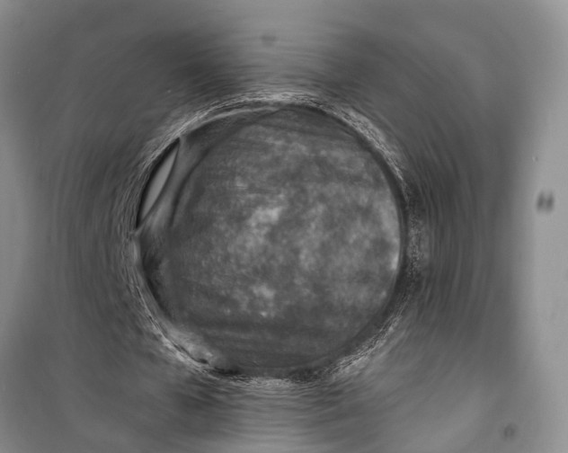X0000098200577200805151231