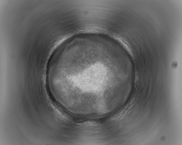 X0000098200578200805151231