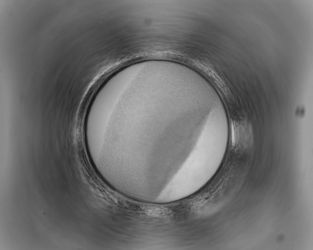X0000098200579200805151231