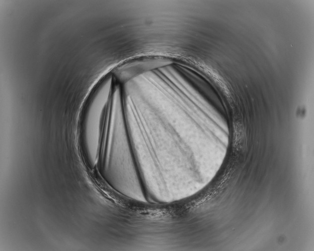 X0000098200580200805151231