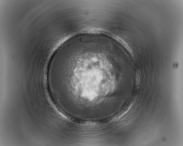X0000098200581200805151231