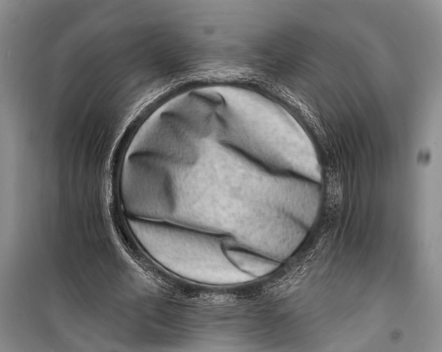 X0000098200582200805151231