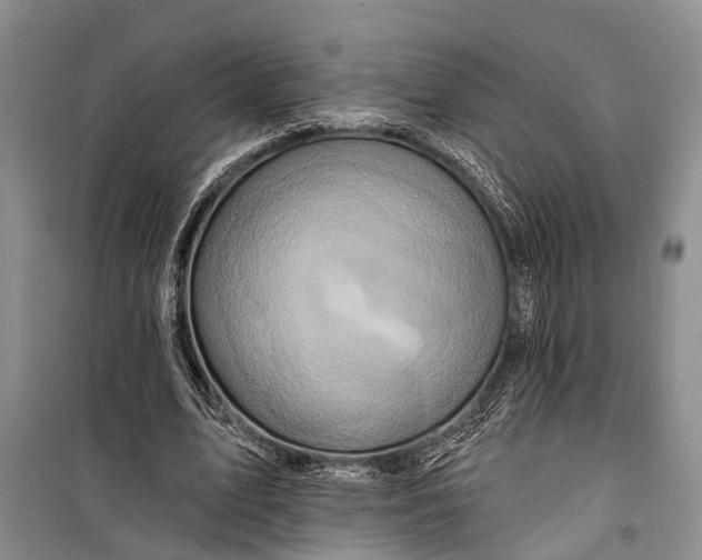 X0000098200583200805151231