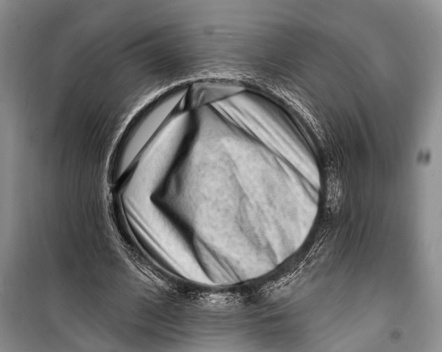 X0000098200584200805151231