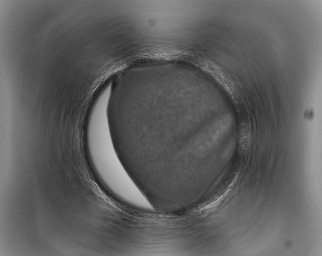 X0000098200585200805151231