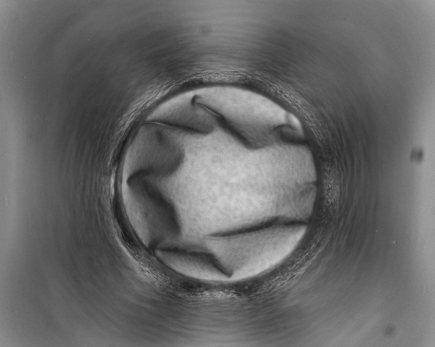 X0000098200586200805151231