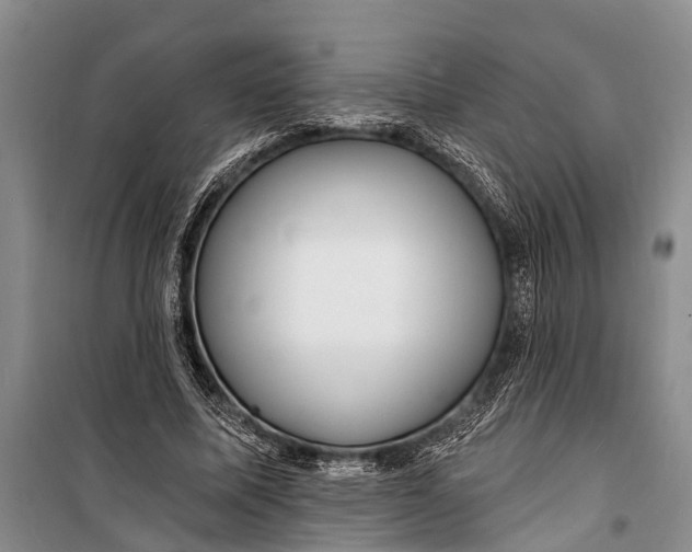 X0000098200587200805151230