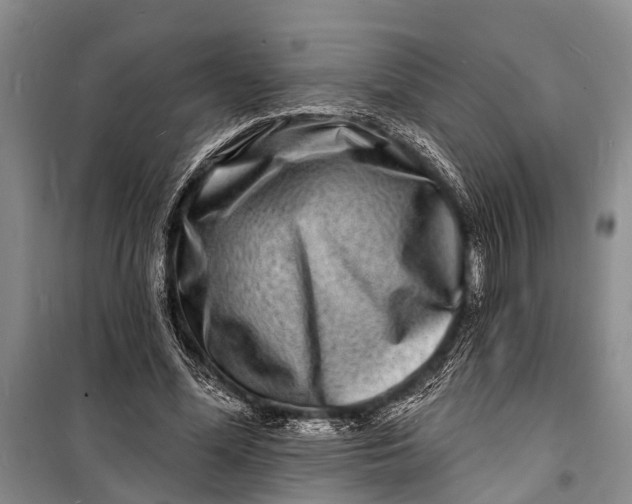 X0000098200588200805151230