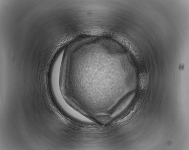X0000098200589200805151230