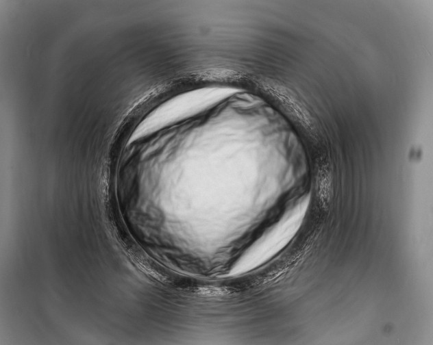 X0000098200591200805151230