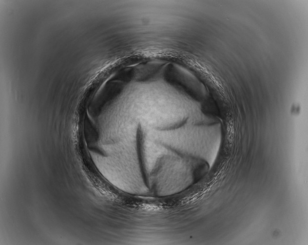 X0000098200592200805151230