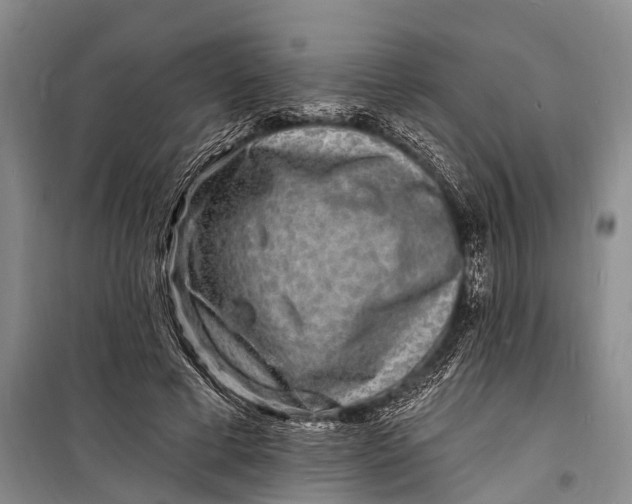 X0000098200593200805151230