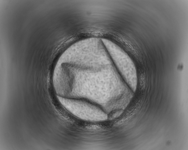 X0000098200594200805151230