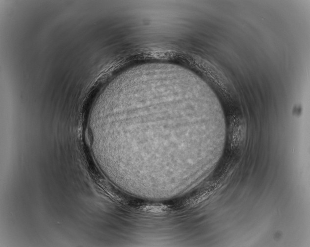 X0000098200595200805151230